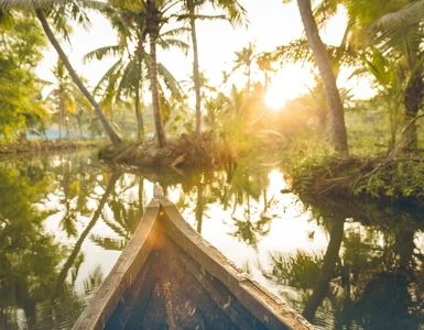 Kerala Backwater Tour